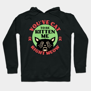 You've Cat To be Kitten Me Hoodie